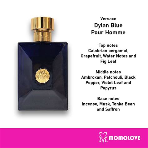 Versace Dylan Blue top notes